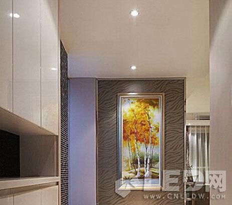 ���գ�LED�����LEDͲ�� ɵɵ�ֲ�����