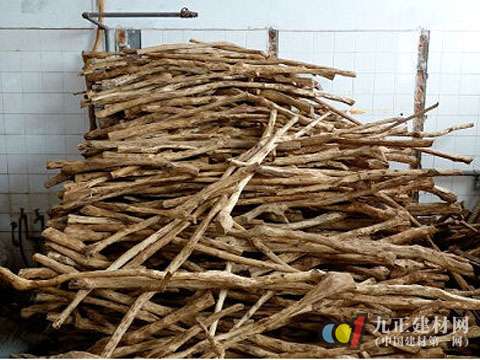 �������2015���Ї��tľ�Ҿ��Ј������cչ��