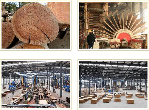 �Ї�ʮ����Ʒ�ƣ�̩�������콨���������W