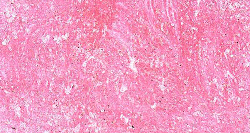 ����ˇ�g(sh��)Ϳ��Ʒ�ƣ�С�����w�f�fˇ�g(sh��)Ϳ��