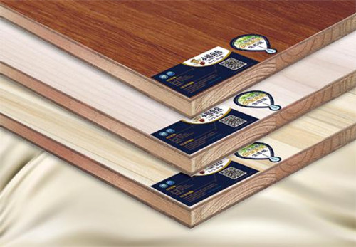 小熊貝貝榮獲《中國十大生態(tài)板品牌》