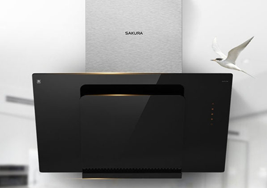 �ѻ����͟��C���V�� ʲô�в�ʳ���g����