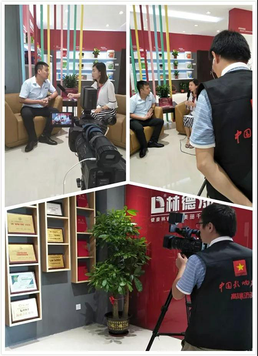 �ֵ���ʮ�������m�c�� ��ǧ��·�ƺ���