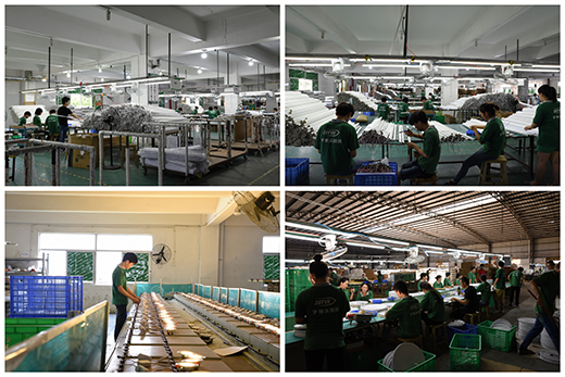 �ӏ��^�������s�u(y��)�p������(sh��)�����w