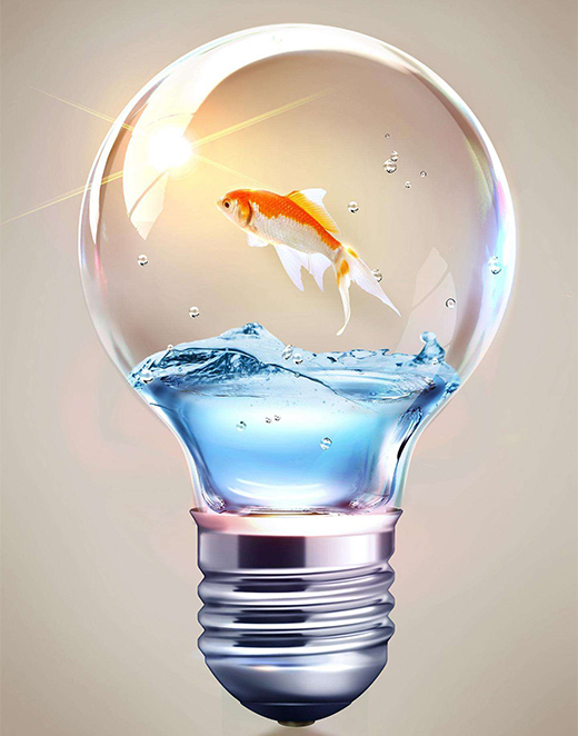 �Ї�(gu��)���������ӄ�(sh��)�郞(y��u)��(sh��) ���ô��N�ۼ��˚�