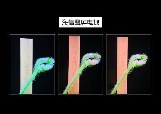 �Z���t�����ż����l(f��)��ȫ�����_(t��i)�B���ҕ��