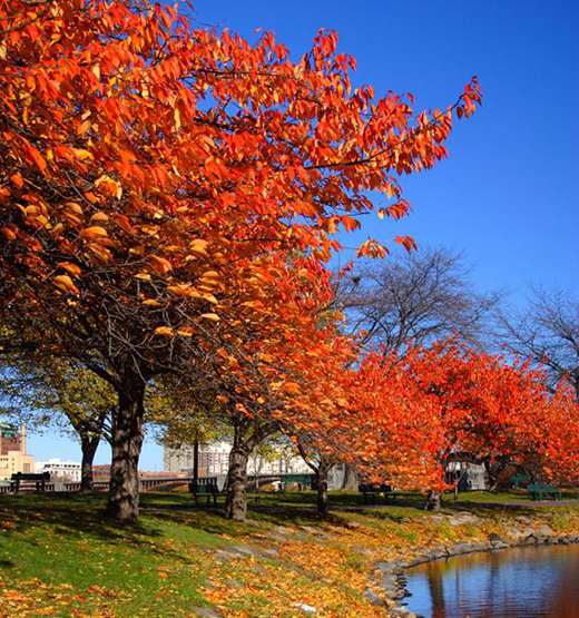 ������ԡ��EA5�����������������ԡ