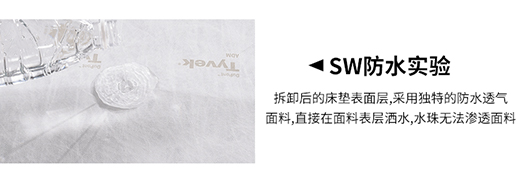 ���L�������x�w���|�����|׌���������x�ɔ_