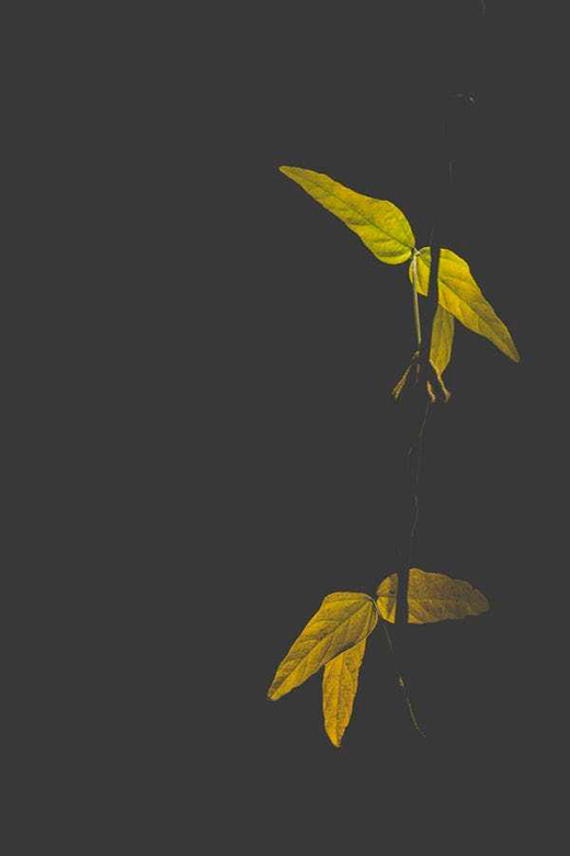 ������ν���ꖹⷿ��׌����ܴ��������!