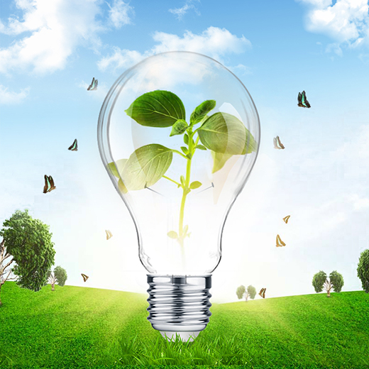 2020�� ����Ҿ�����Ʒ������ĺ����^