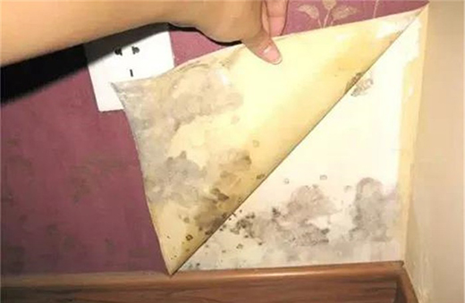 ��Ϳؐ���۾��п����־�����������Ч���ͽ����Ⱦ����