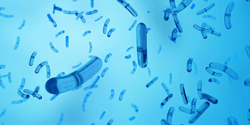 ��ˮ�ИI(y��)���������أ���I(y��)ԓ����� ���N���y�}?