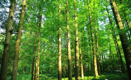 ����֮��������Ψ�н����o�r(ji��)����ʮ����Ʒ�ưٵČ�