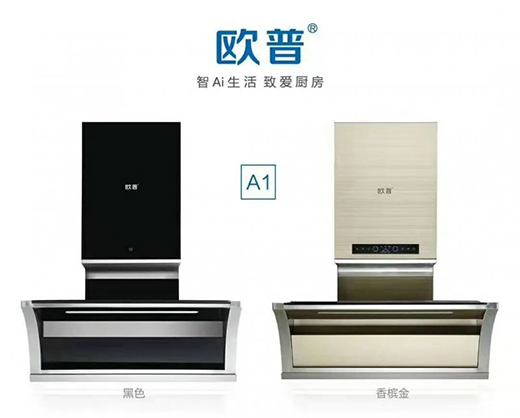 大吸力，大風(fēng)壓，高顏值，才是廚房的最愛!