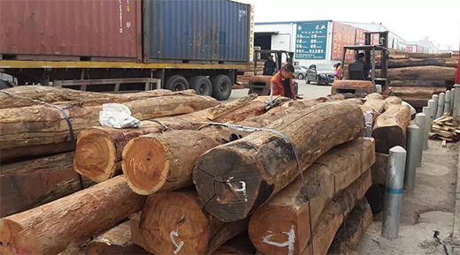 ���黨���ܴ��J�����ɞ�tľ��ġ����F��!