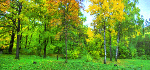 3G熱水器新品 讓你享受四季如春的沐浴