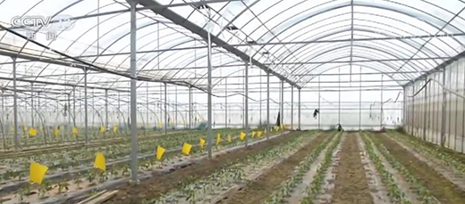 ȫ�����˻@�ӡ��a(ch��n)Ʒ����(y��ng)�������� �Ј��\�п��wƽ��(w��n)