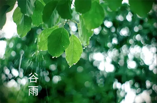 ����(l��)�T(m��n)�I(y��) | ���꣺�r(sh��)��ĺ���������ٹ�