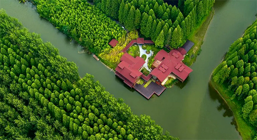 �|���T�I(y��)���c���]�����c������