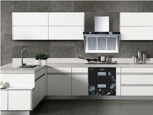 廚電市場處于下行通道，油煙機(jī)在農(nóng)村市場仍有普及空間