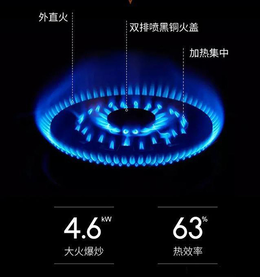 ʷ��˹ȼ?x��)�������N���Ҹ�����Ӝ�