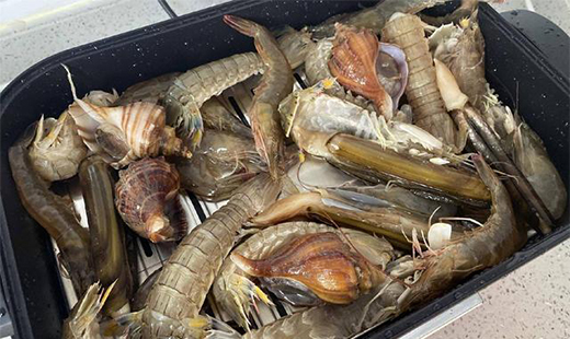 �NˇС�ױ؂�֮�������ϚW�W(w��ng)�t�?zh��n)��Ґ��ϏN��!