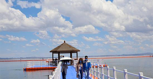 �½��l(xi��ng)�����ΘI(y��)����Ԫ���l(f��)չ��ȫ���_����