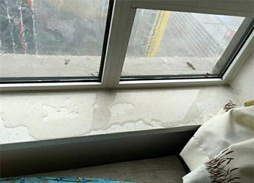 �̓r(ji��)�X�Ͻ��T(m��n)����Ŀ��ԡ�ƽ�桱���Ɔ�?