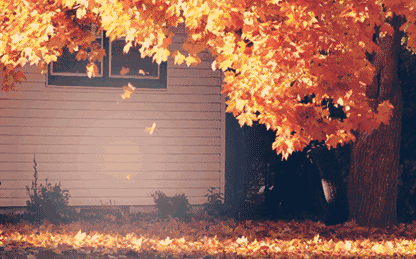 ⠺�������������һ�~֪��!