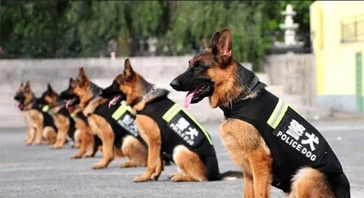 Ω����LED�w���������ٽ��م����c�����ڹ����־�Ȯ����!