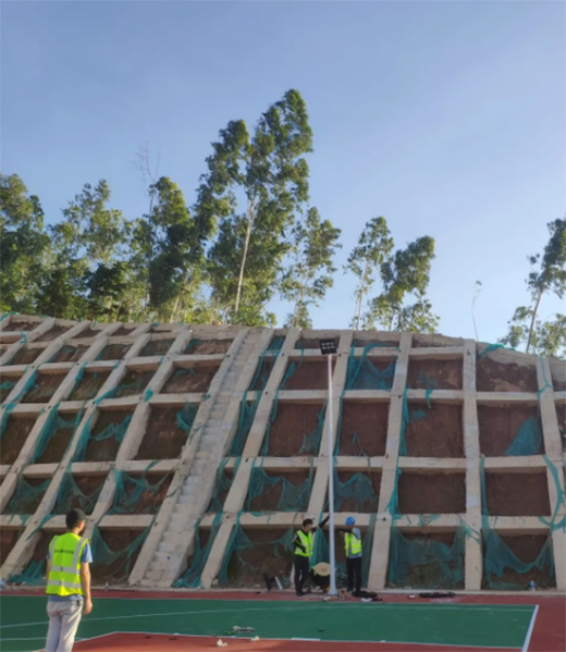 Ω����LED�w���������ٽ��م����c�����ڹ����־�Ȯ����!