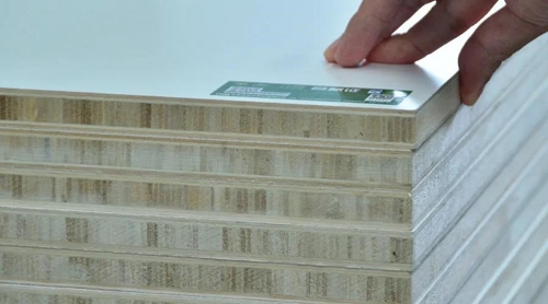 �A����о�壺��ľ�ǧ����һ�ο�Խ�������������