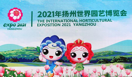 2021��P(y��ng)������@ˇ���[�����ա�������l(f��)��