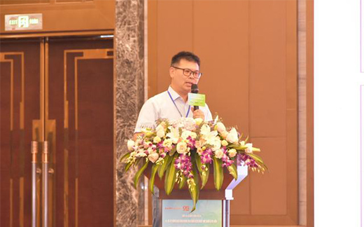 2020���34����ɽLED���������(q��)�Ӵ���A�M���_