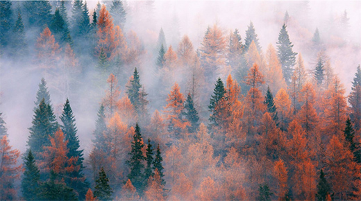 ���Zһ����Ʒ�|(zh��)��ʮ����ֻ�íh(hu��n)��ˮ����!