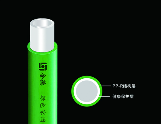 ���ꡰ�pʮһ�� �������e(cu��)�^��¾Gɫ�҈@PP-R���B(t��i)��