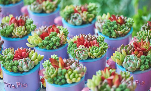 �������Ђ�ꖹⷿ��һ����һ�K��һ��ꖹ���͵�ø��������e