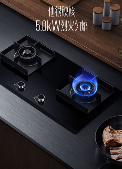 ���������(d��ng)ȼ!�A��5.0kWȼ?x��)������㡰��ʹ�N�Ǽ�(j��)ʢ��