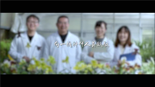 ��ʯ����20����Ĳ��� �A�����o(h��)��ֲ���Ĵ���؈��