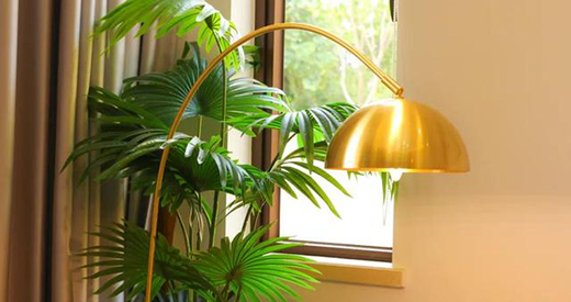 ���ИI(y��)�l(f��)չڅ��(sh��)�����x��Ӱ��ث@��ȫ�~���ȫ��(gu��)�N(xi��o)����һ��!