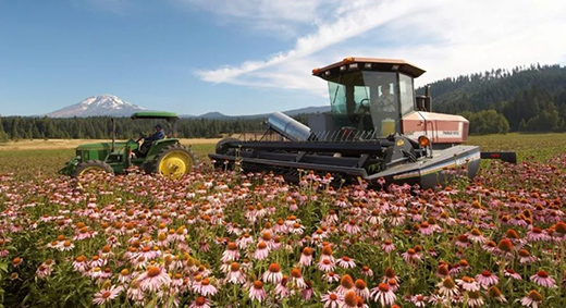 315���M(f��i)�ߙ�(qu��n)�����������������С�