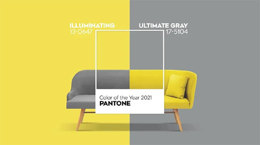 �W�_��ˇ�g(sh��)Ϳ�ϣ�2021피�(j��)�����������S