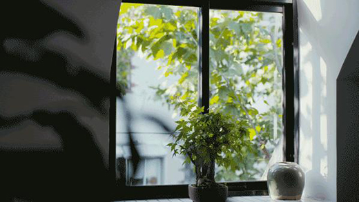 LOLANDS | ׌�T(m��n)���ɞ�������۾�