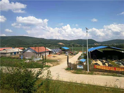 �����������Sţ�� ���콡���ʳ���L��