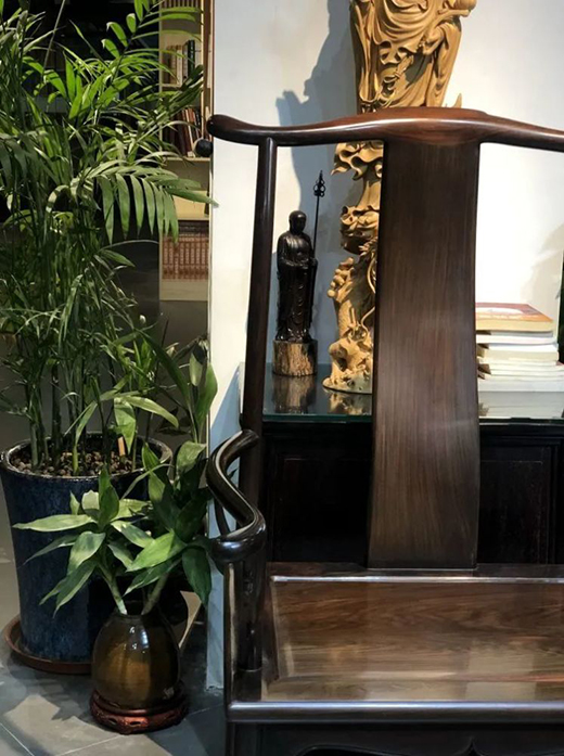 ���tľ�Ҿߣ��������_ʼ