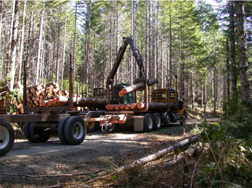 ���Ļ����������M�M | Ī��ɽ�ذ�Ʒ�Ʒ���(w��)���Wҫȫ��