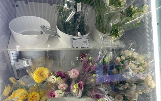 ���o�����ۡ��r�����κ��ݵ��F ������(chu��ng)��չ���M�»���