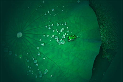 ������N��Ʒ�ƿ��ͺ������I(l��ng)Ʒ�|(zh��)�N���������w�(y��n)