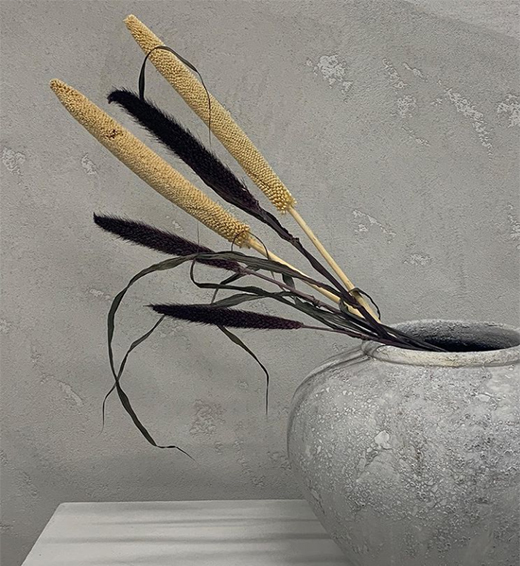 ����ؐ�� | �XһĨ��ɫ�����[���¸��{(di��o)