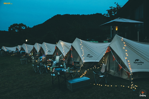 ALLIE�}�����I(y��)�������N�ĺ��o(h��)¶�I(y��ng)�w�(y��n)